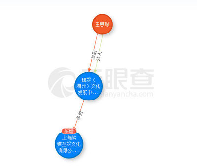 起底王思聰投資神話 吹出來的泡沫？